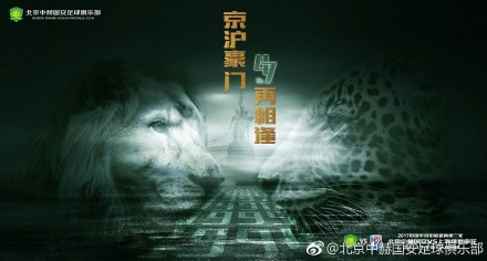 欧美视频在线观看一区
